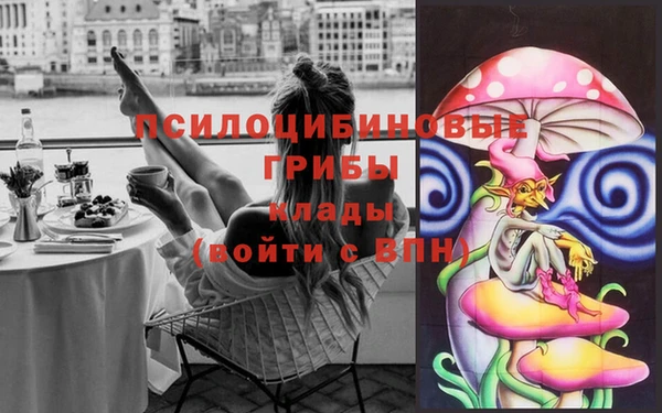 ALPHA PVP Алексеевка