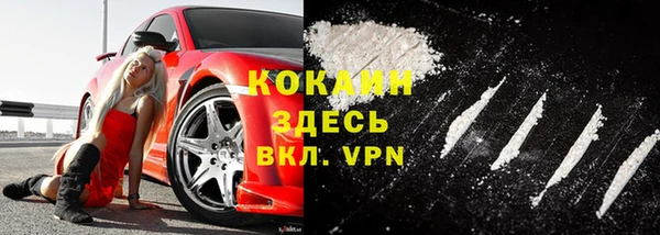 твердый Алзамай