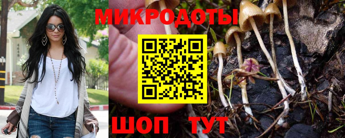 Курчалой  Псилоцибиновые грибы MAGIC MUSHROOMS  Галлюциногенные грибы мицелий  наркошоп  Вход с VPN 